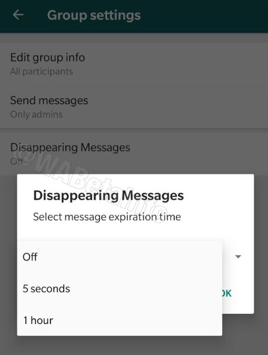 WhatsApp 測試訊息毀滅功能   最快 5 秒自動消失