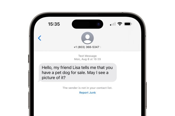 iOS-16-Messages-Report-Junk.jpg