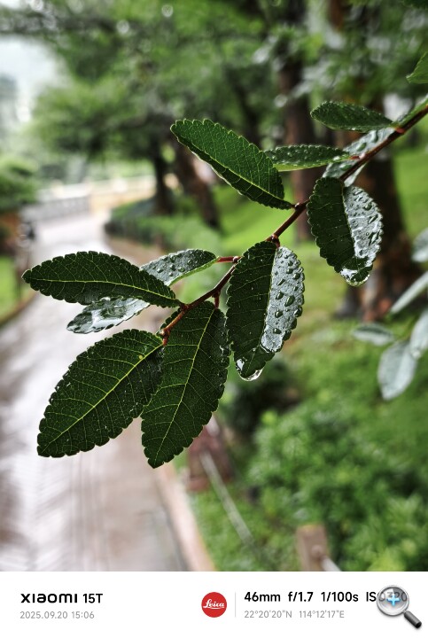 IMG_20250920_150635.jpg