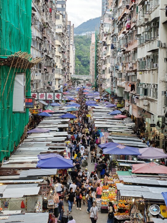 IMG20251029150502.jpg IMG20251029150502.jpg