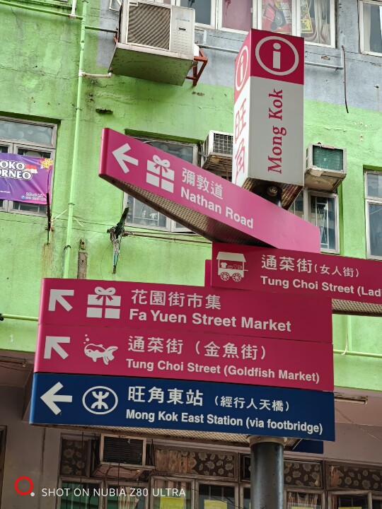 IMG_20251006_170407.jpg IMG_20251006_170407.jpg