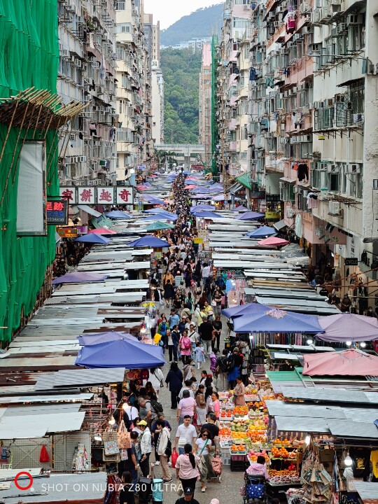 IMG_20251006_170656.jpg IMG_20251006_170656.jpg