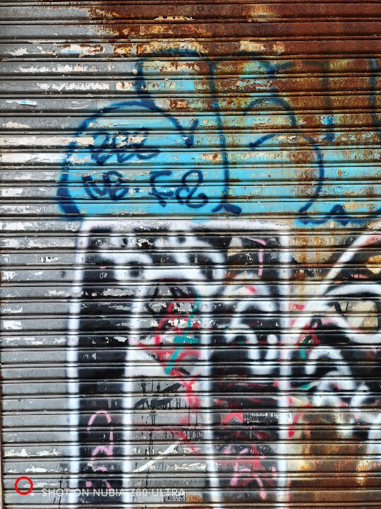 IMG_20251006_170031.jpg IMG_20251006_170031.jpg