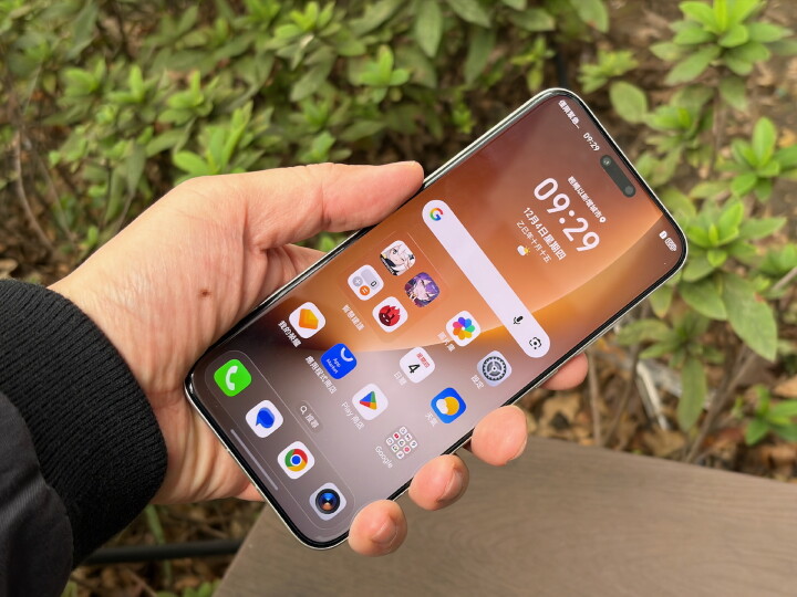 IMG_9191.jpeg IMG_9191.jpeg