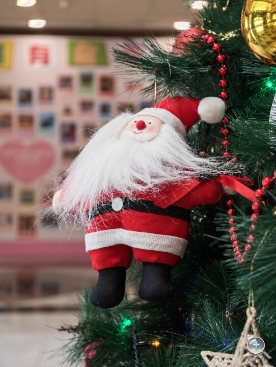 IMG_20251204_093638.jpg IMG_20251204_093638.jpg