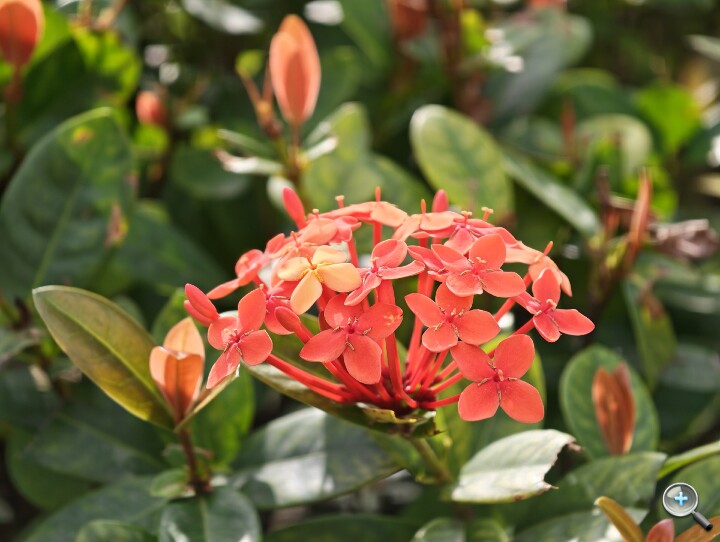 IMG_20251204_094239.jpg IMG_20251204_094239.jpg