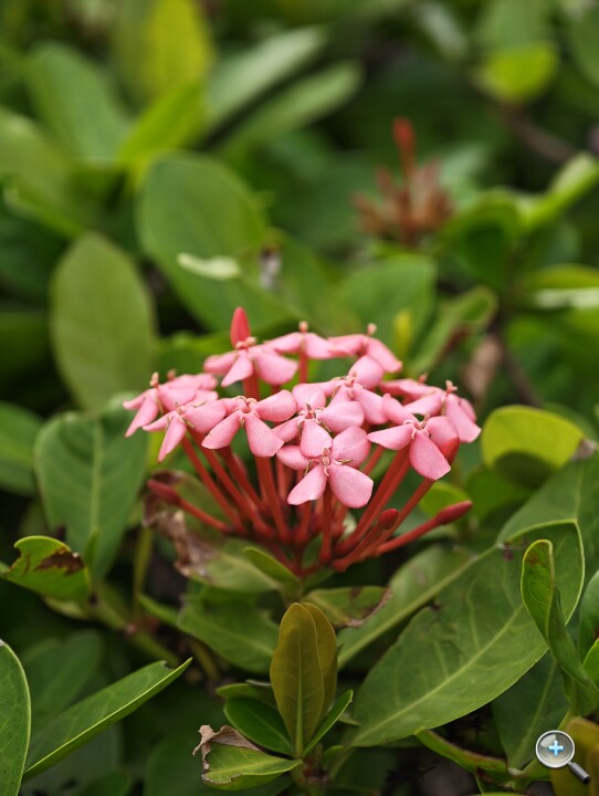 IMG_20251204_093525.jpg IMG_20251204_093525.jpg