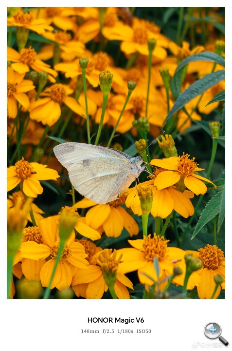 008JJV1Sgy1ianv0sawm6j32u049rqv7.jpg 008JJV1Sgy1ianv0sawm6j32u049rqv7.jpg