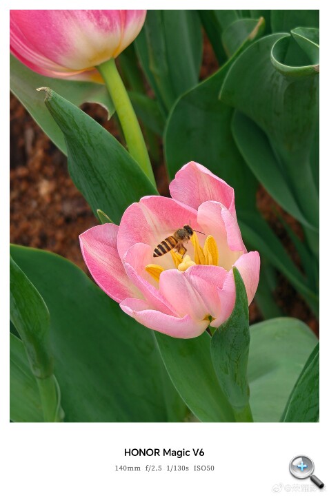 008JJV1Sgy1ianv4lv13oj32u049rkjn.jpg 008JJV1Sgy1ianv4lv13oj32u049rkjn.jpg