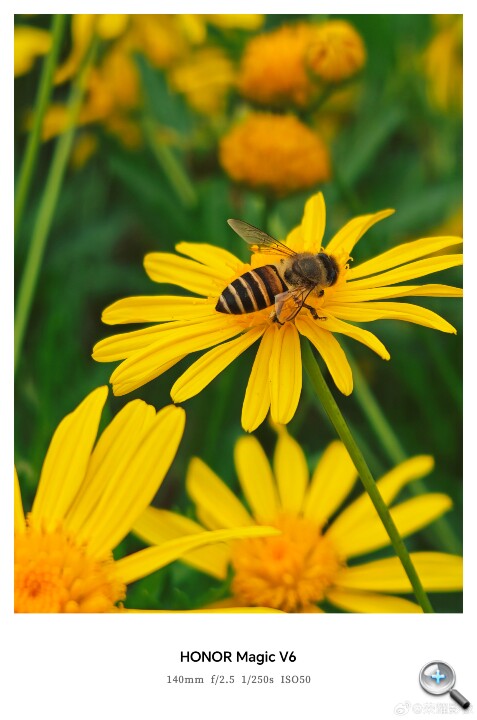 008JJV1Sgy1ianv0qzj8jj32u049r7wj.jpg 008JJV1Sgy1ianv0qzj8jj32u049r7wj.jpg