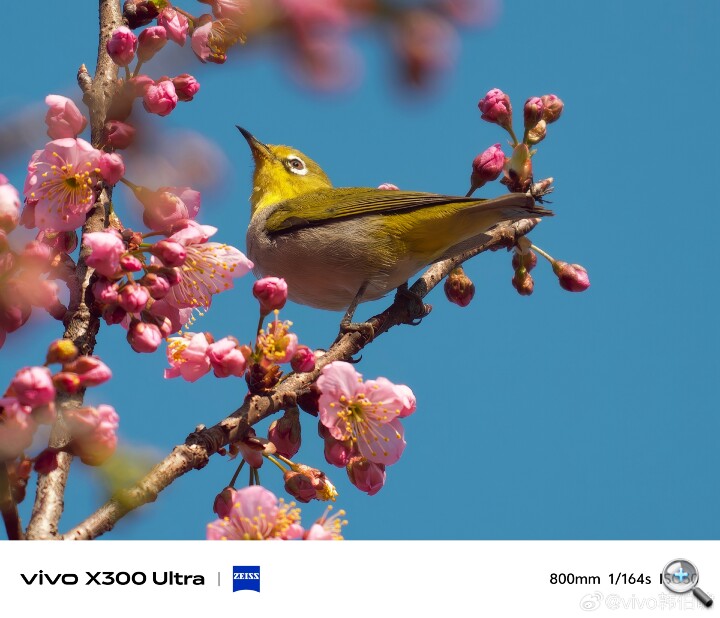 da082ae9gy1ib3ye1hjzyj235c2pc7wj.jpg da082ae9gy1ib3ye1hjzyj235c2pc7wj.jpg