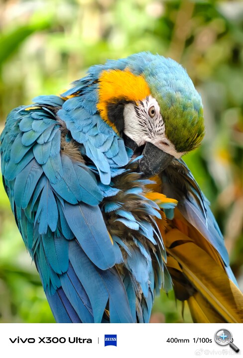 da082ae9gy1ib3ye6cxjpj22d43hke83.jpg da082ae9gy1ib3ye6cxjpj22d43hke83.jpg