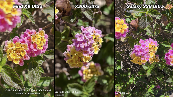 螢幕截圖 2026-04-27 下午2.40.58.png