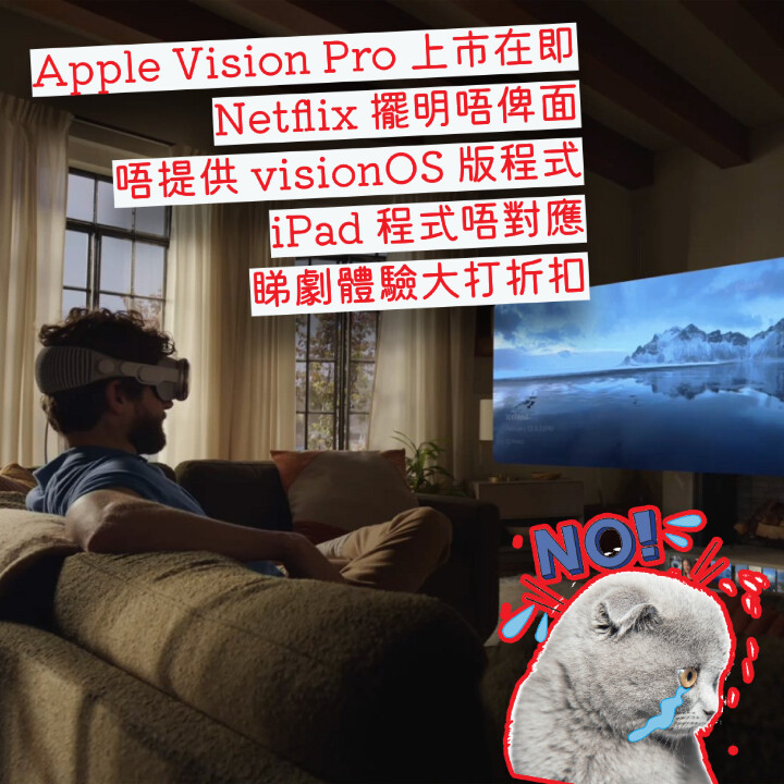 Apple Vision Pro, Netflix