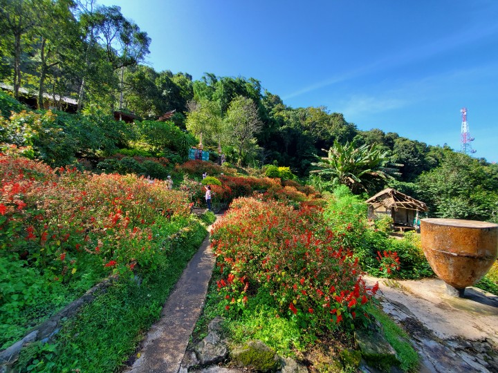花園一景